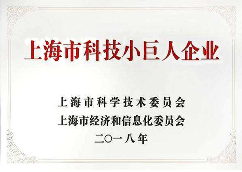 科技小巨人企业