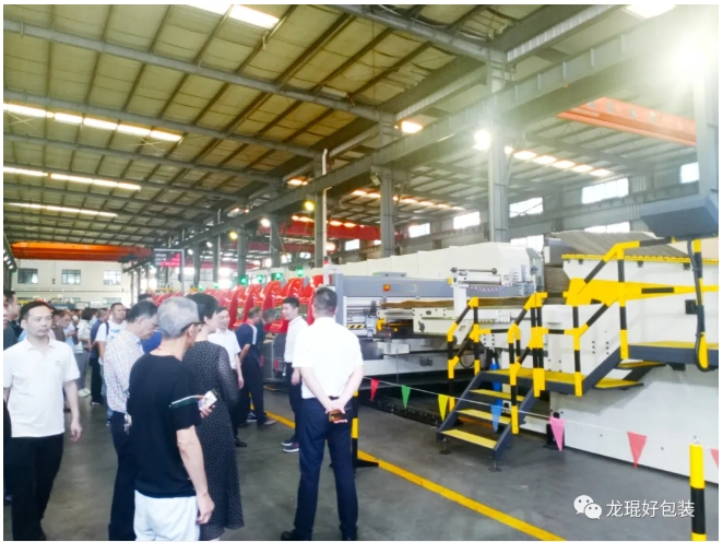 对标国际,上海鼎龙“赛利达”联动线如何实现全程无压溃制箱?